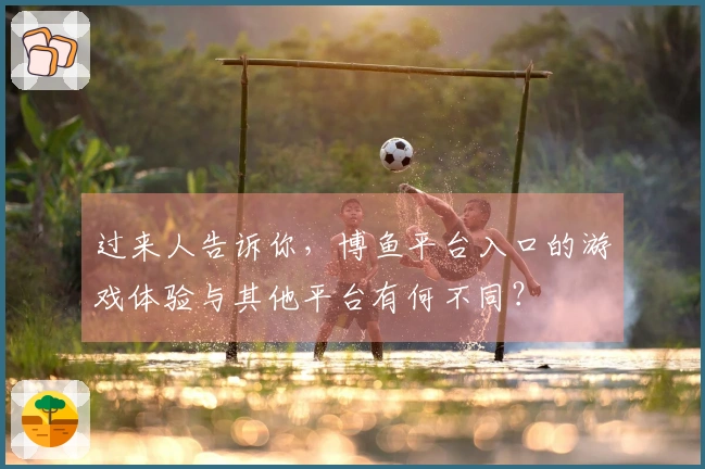 过来人告诉你，博鱼平台入口的游戏体验与其他平台有何不同？