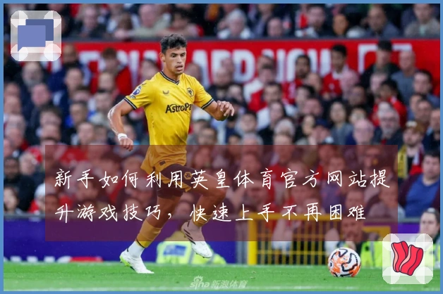 新手如何利用英皇体育官方网站提升游戏技巧，快速上手不再困难